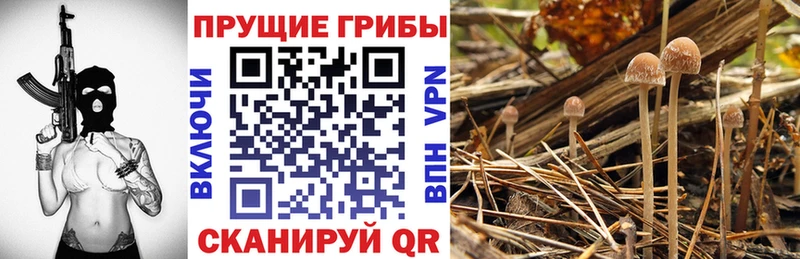 ОМГ ОМГ сайт  Ялуторовск  Псилоцибиновые грибы MAGIC MUSHROOMS 