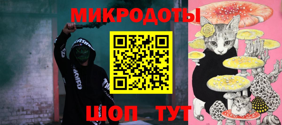 Псилоцибиновые грибы Psilocybine cubensis Ялуторовск