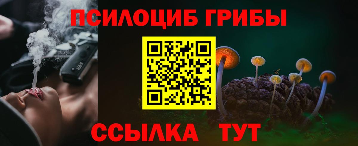 Псилоцибиновые грибы прущие грибы  где купить наркоту  Ялуторовск  Вход с VPN  Псилоцибиновые грибы Magic Shrooms 